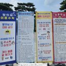 남가람공원 바닥분수 이미지