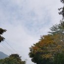 밤머리재홍단풍거리 네이버블로그