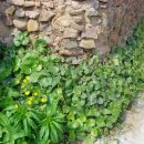 자연생태어린이집 이미지