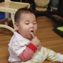 개뼈다구 이미지