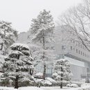 문일학원 이미지