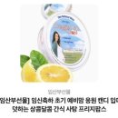 재이라이팅
