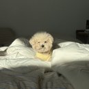 선흘정류장 이미지