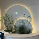 W4| 원주 디앤유: 본식 드메 계약 후기 (아모르 제휴 업체, 바오드레브, 로즈로사 비교)