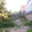 청룡동-34 이미지