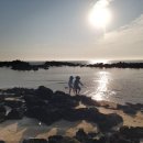 대정읍-6 이미지