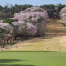 신원2로 이미지