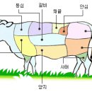 소고기 여러 부위에 대하여 이미지