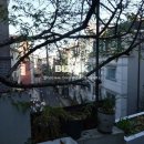 고원공인중개사사무소 네이버블로그
