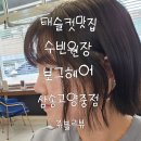 신원동-22 | 보그헤어 삼송고양중점 수빈원장님께 태슬컷+ 스타일링 받고온 찐 후기!!