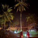 반딧불이 | 필리핀 시아르가오 명소 시크릿 비치 반딧불이 투어 후기