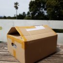 에버그린농장 | 다육이 제주까지 왔다-(에버그린 농장 이벤트 후기)