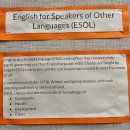 실전처럼 배우는 생활영어 | 뉴욕에서 무료로 영어 배우는 방법 5가지