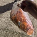 고앤고짐 | 8월_동심과 낭만 충천