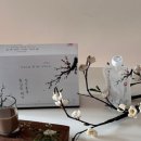 라이프케어스 이미지