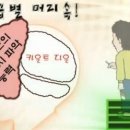 공감되시나요? 군인 계급별 뇌구조! 이미지