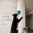 레인보우스토리 - 영등포구 | 서울 궁디팡팡 구매템 🌿 레인보우스토리 나뭇잎 노즈워크 실사용 후기