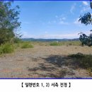 알바모터스 이미지