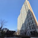 옥정 왕벚나무길 이미지