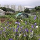 비(B)브로드밴드 이미지