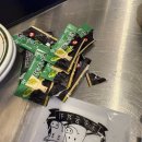 거북시장B(42136) | 딱복? 물복? 난 딱복