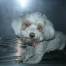 청룡사우나 이미지