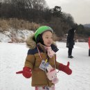 지산다육
