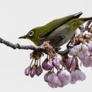 배화학교 이미지