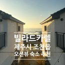 빌라드 카렐 | [제주 제주시/빌라드카렐] 내돈내산 조천읍 오션뷰 숙소 솔직후기, 프랑스 가정집 분위기의 감성숙소