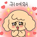 러블리펫샵 이미지