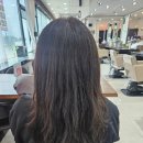 가람프라자 | 분당 미금역 미용실 클리닉으로 살아나 머릿결! 메이원헤어 가람디자이너님 후기