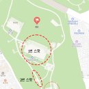 종로-신영-종로-영-157 | 하..실제로 보면 모든 번뇌가 사라질 것 같은 고즈넉한 "겨울의 종묘 설경"