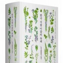 [조민제의 식물 이름 이야기 16] 후박나무: 한중일 다른 식물, 그리고 우리의 민속 (2024. 4.22.)