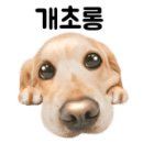 푸르미네 수제간식 이미지