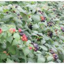 학산농장 이미지