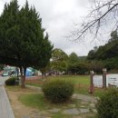 오금초등학교 이미지