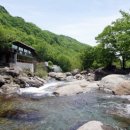 식후경민박 이미지