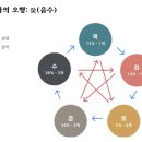 사주로 배우는 삶의 지혜 | 100P 분량 온라인사주 굿데이사주 사주풀이 후기