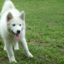 상군농장 이미지