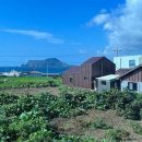 슬기로운 펜션 이미지