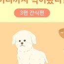 도담도담동물병원 이미지