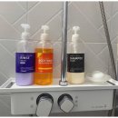 씨에프호텔 이미지