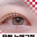 88디디