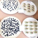 떡제조기능사&한과디저트 | 청주떡제조기능사 한식디저트(떡, 한과)실무 수강생모집 (10/22 오후반)