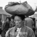 장터이야기 이미지