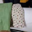 루라패션