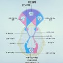 휴플러스안경원 이미지