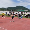 강정동-78 이미지