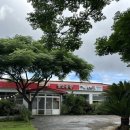 사월의국수 | 제주 구좌읍 스누피가든 맛집 꿩국수 사월의 꿩