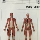 더 골드짐 이미지